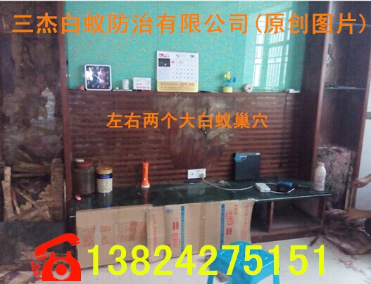 惠州市惠阳区茶园长耀小区发现2个大白蚁巢穴-惠阳白蚁防治公司